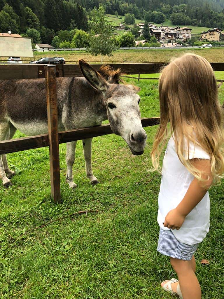 IMG-20190507-WA0000