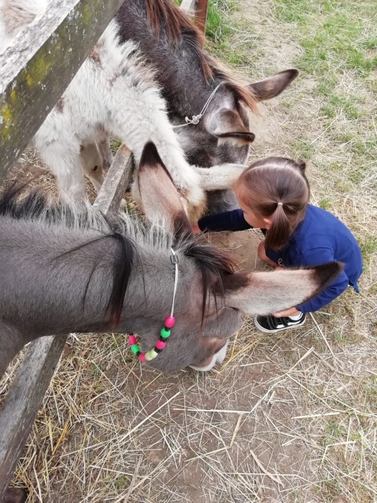 vacanza-bambini-val-di-sole